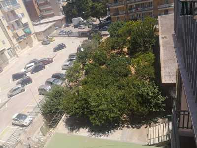 Bari, il frutteto urbano di Peppino